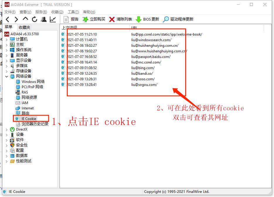 图2：点击IE cookie