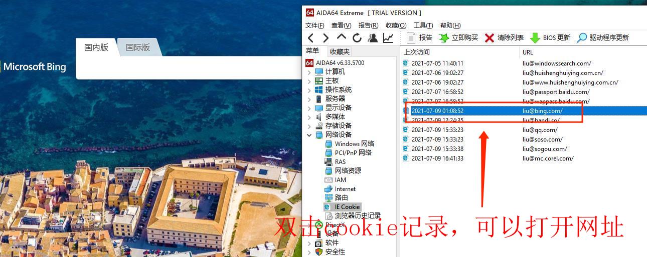图3：双击cookie记录，可以打开网址
