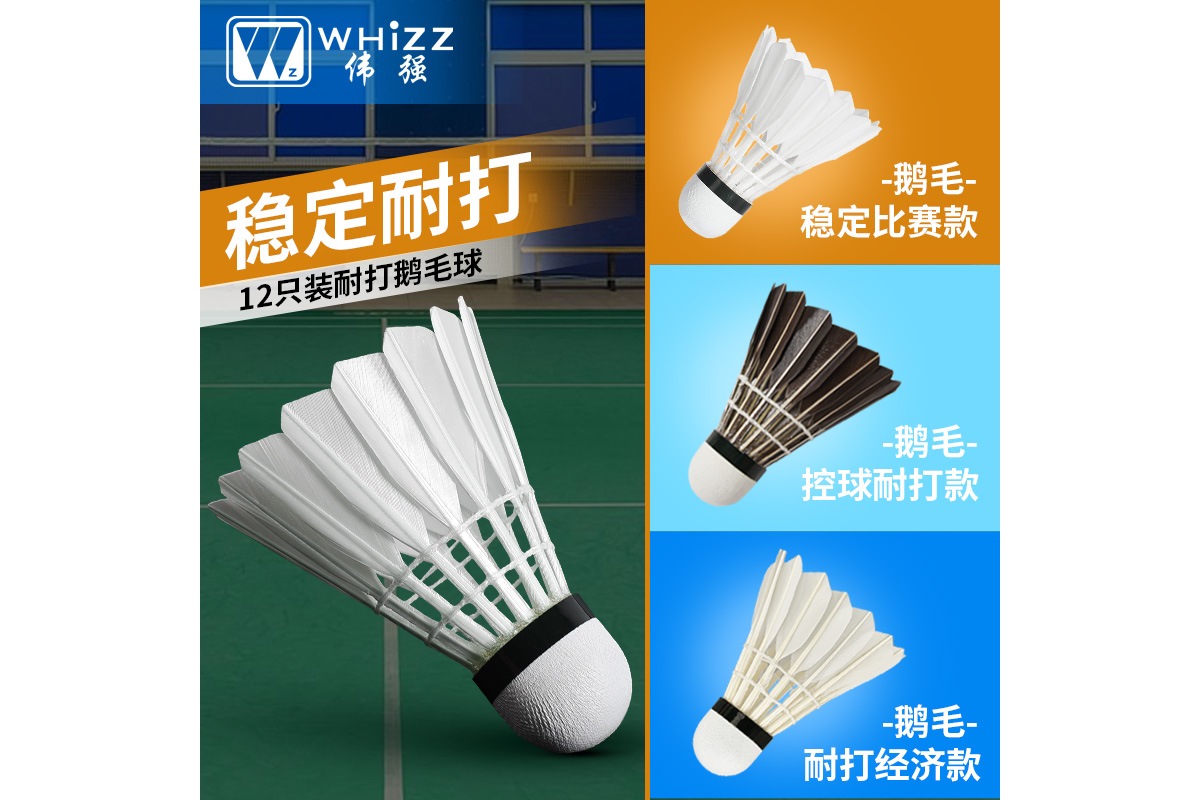 杨晨羽毛球（杨晨羽毛球运动员）