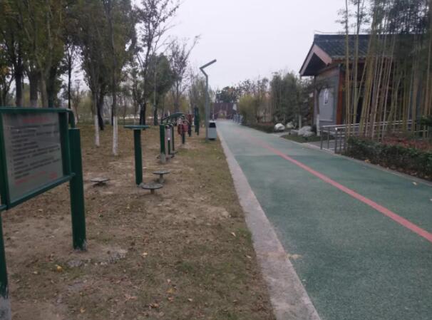 龙河湾公园健身路径