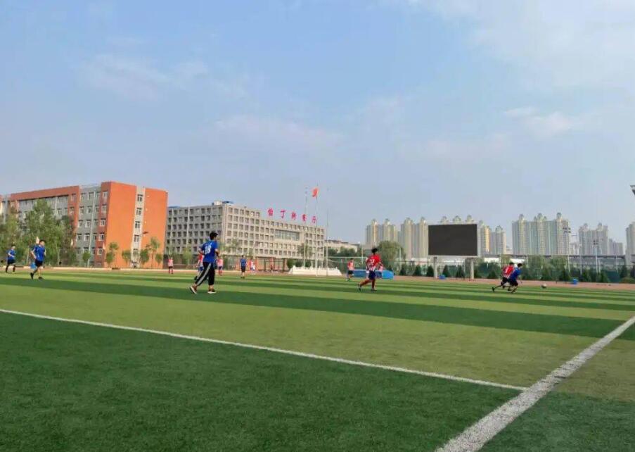 足球场用什么草坪