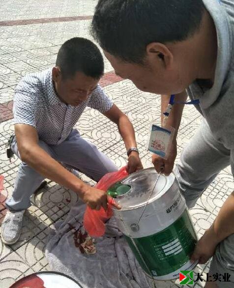 塑胶跑道绿色面漆取样检测