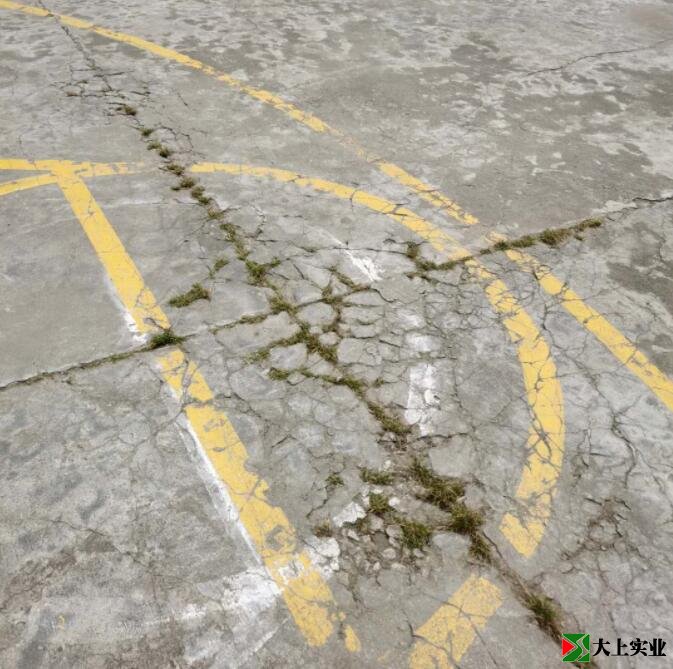 篮球场地面已开裂,并长出杂草。